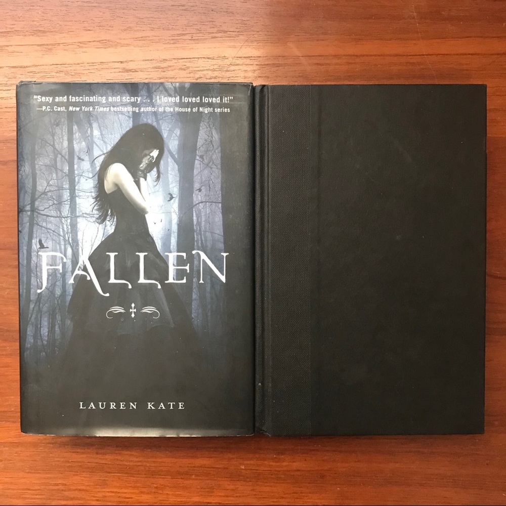 Fallen series 2 book bundle